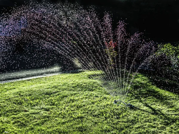 Fioravanti Fiori, foto 3